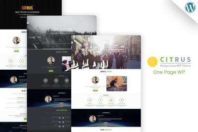Citrus - One Page WordPress Theme 3.7