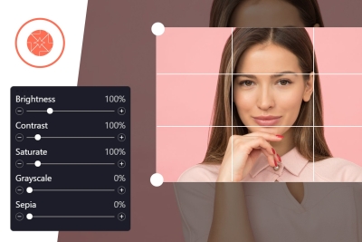 ProVision Image Editor for WordPress / WooCommerce 1.0.0