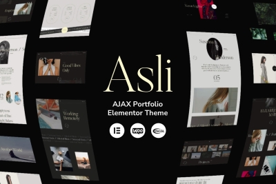 Asli – AJAX Portfolio Elementor WordPress Theme 1.8.5
