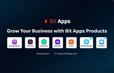 Bit Form Pro 2.12.8