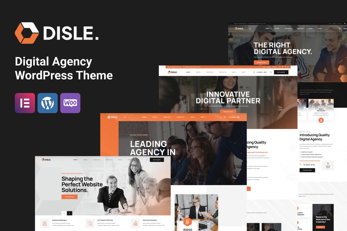 Disle – Digital Agency WordPress Theme 1.2.2
