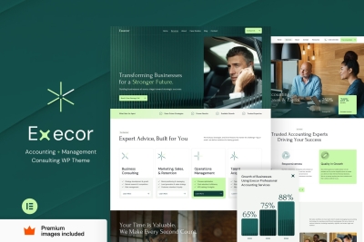 Execor – Accounting and Management Consulting 2