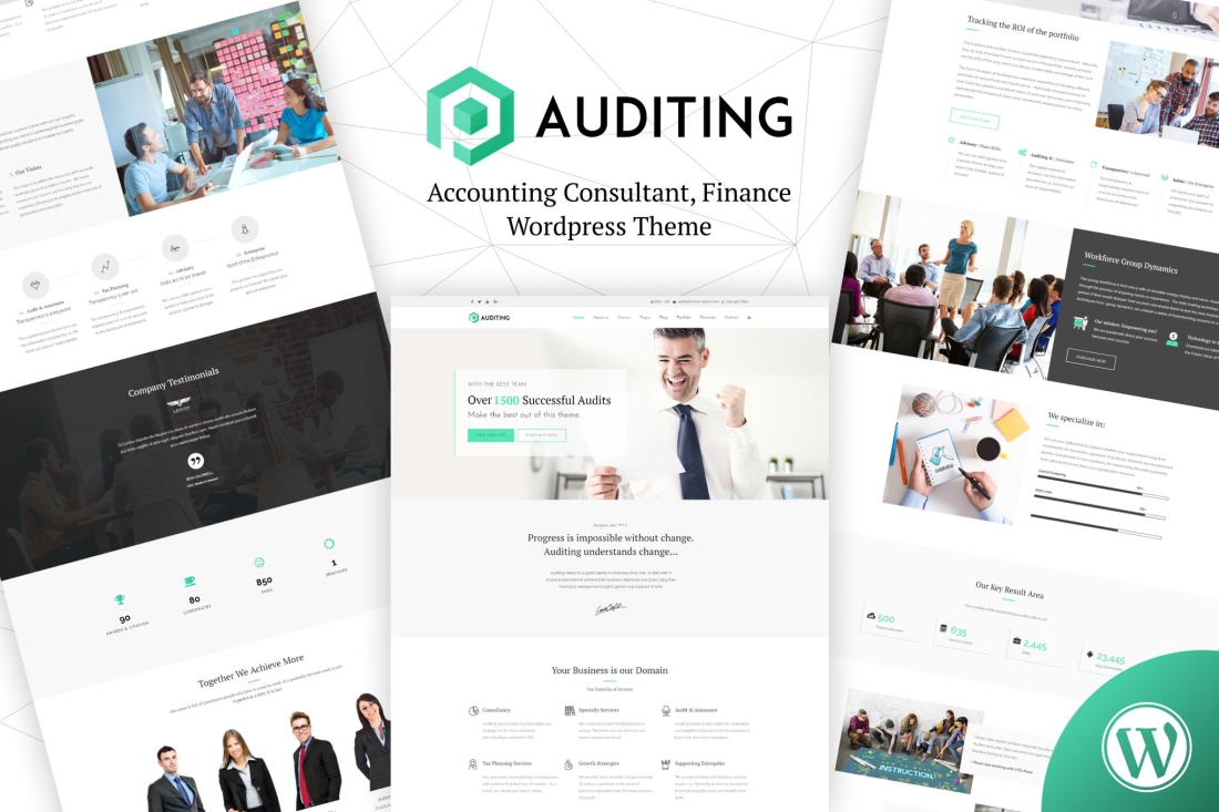 Auditing | Accounting Consultant, Finance WordPres 3.3