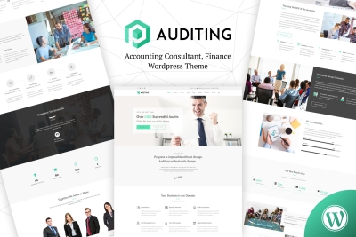 Auditing | Accounting Consultant, Finance WordPres 3.3
