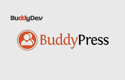 BuddyPress Auto Friendship Pro 1.2.5