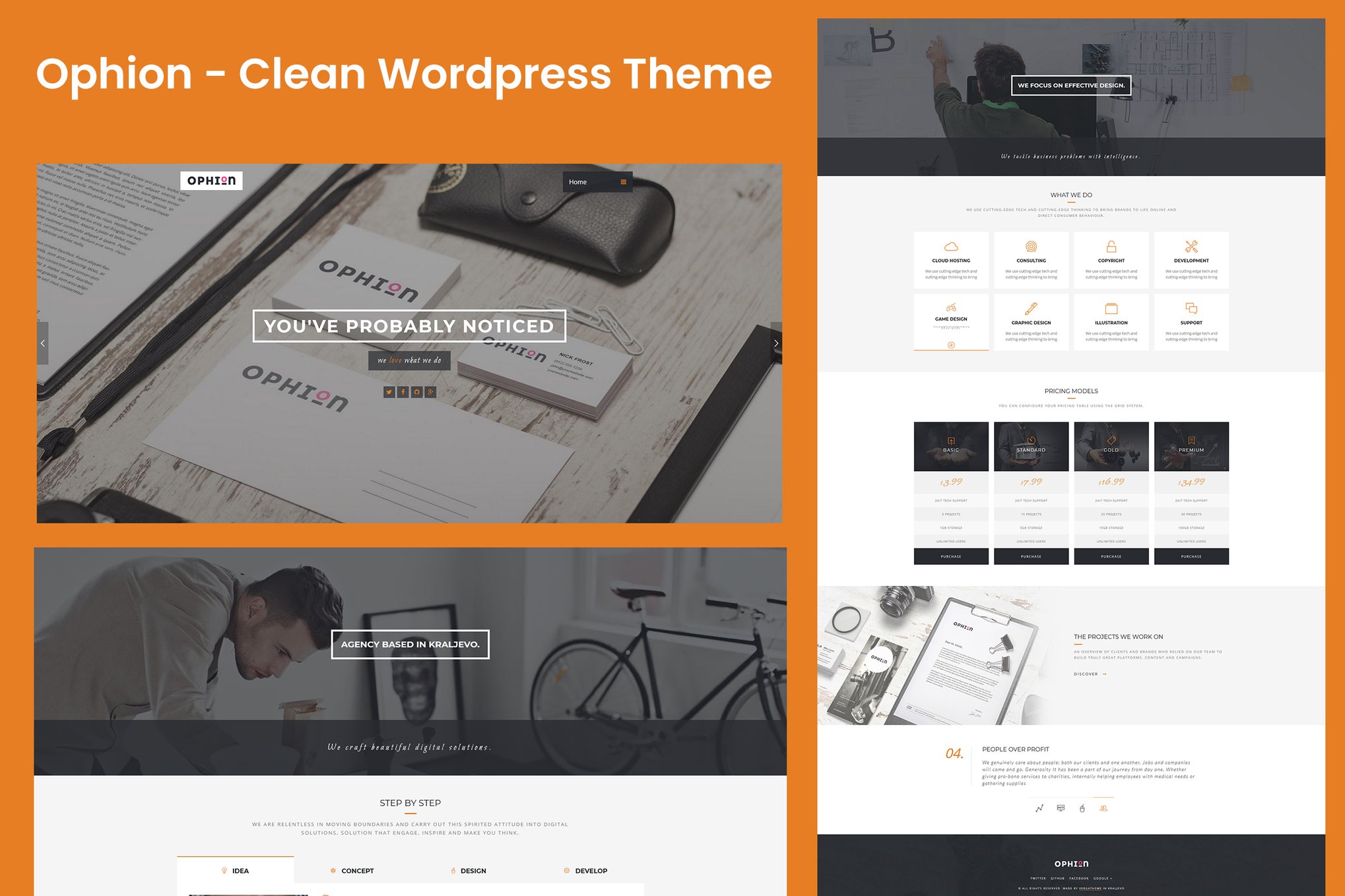 Ophion – Clean WordPress Theme 1.0