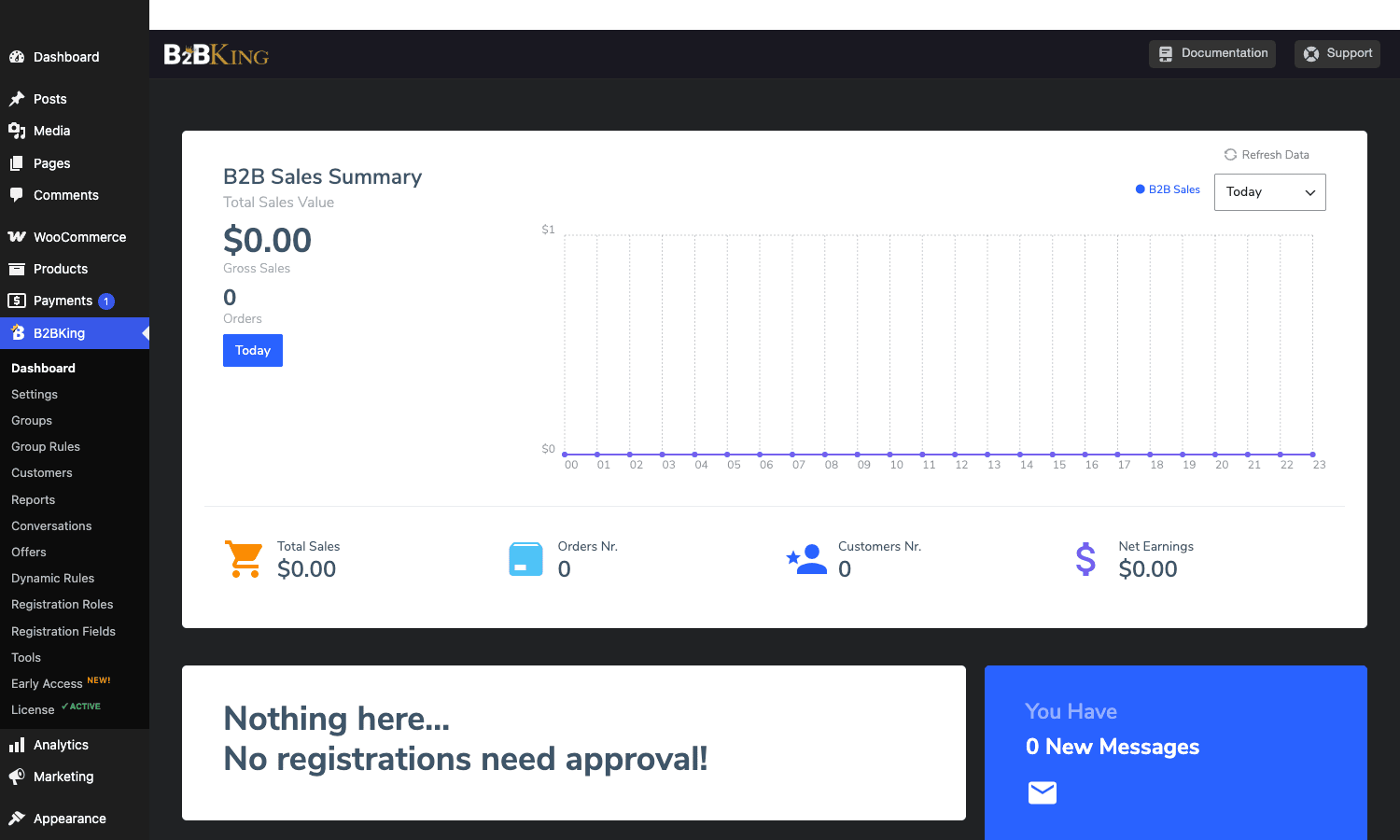 B2BKing dashboard with B2B sales summary, total sales, orders, customer count, and registrations widget