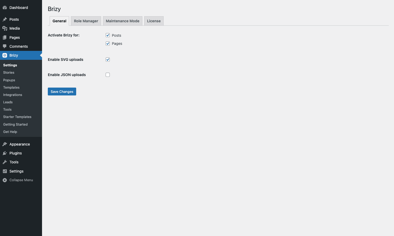 Brizy Settings panel with General, Role Manager, Maintenance Mode, License tabs