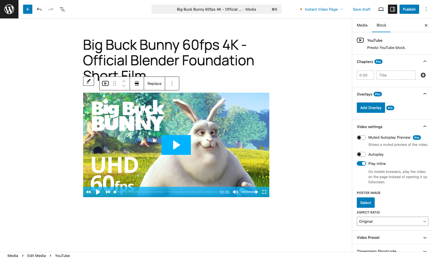 Editing a YouTube video in the Presto Player block Gutenberg editor with a YouTube video loaded in the Presto Player block and the Chapters and Overlays panels open in the sidebar