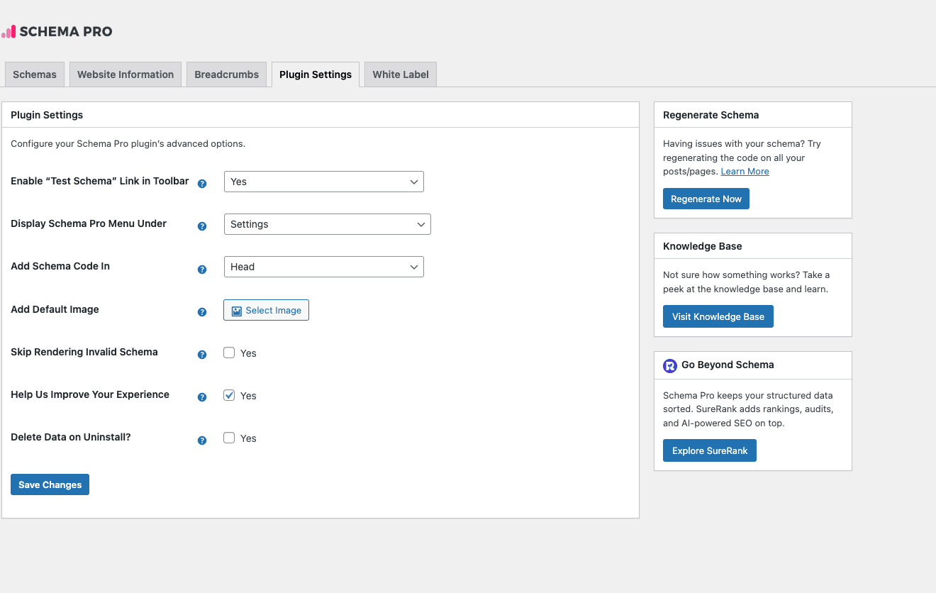 Schema Pro Plugin Settings tab with Enable Test Schema Link in Toolbar, Display Schema Pro Menu Under, Add Schema Code In, Add Default Image, Skip Rendering Invalid Schema, Help Us Improve Your Experience, Delete Data on Uninstall toggles