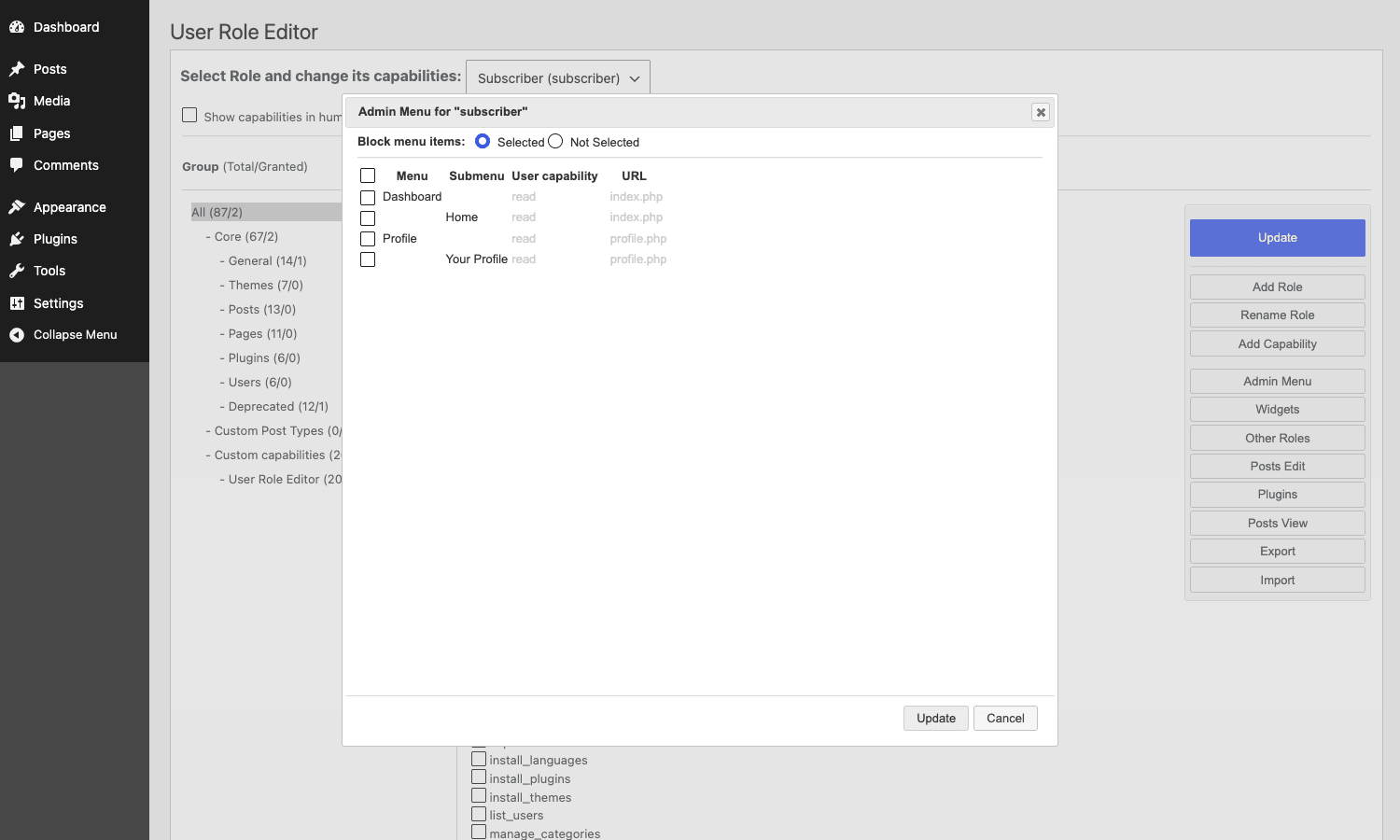 Admin Menu access dialog Admin Menu access dialog for the Subscriber role listing every registered menu item with its capability and URL