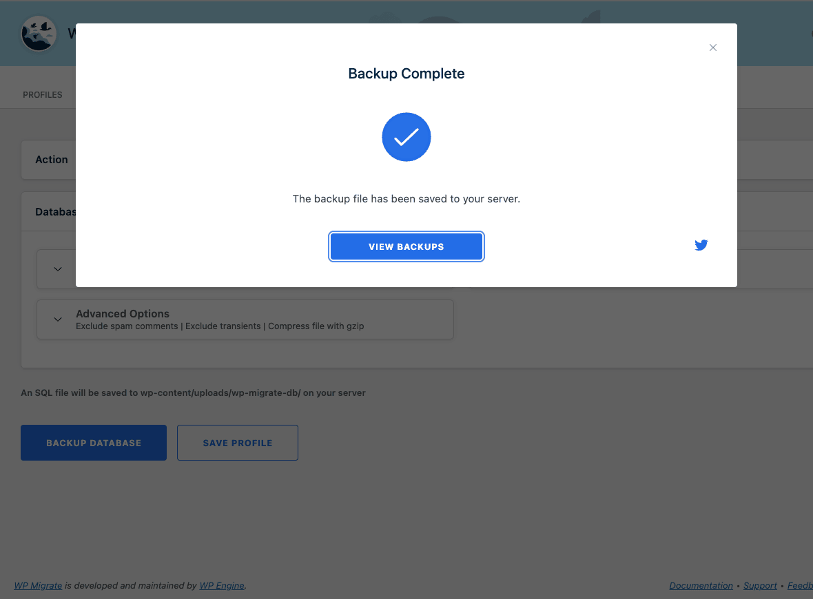 WP Migrate Pro Backup Complete confirmation WP Migrate Pro Backup Complete success modal with a checkmark and View Backups button