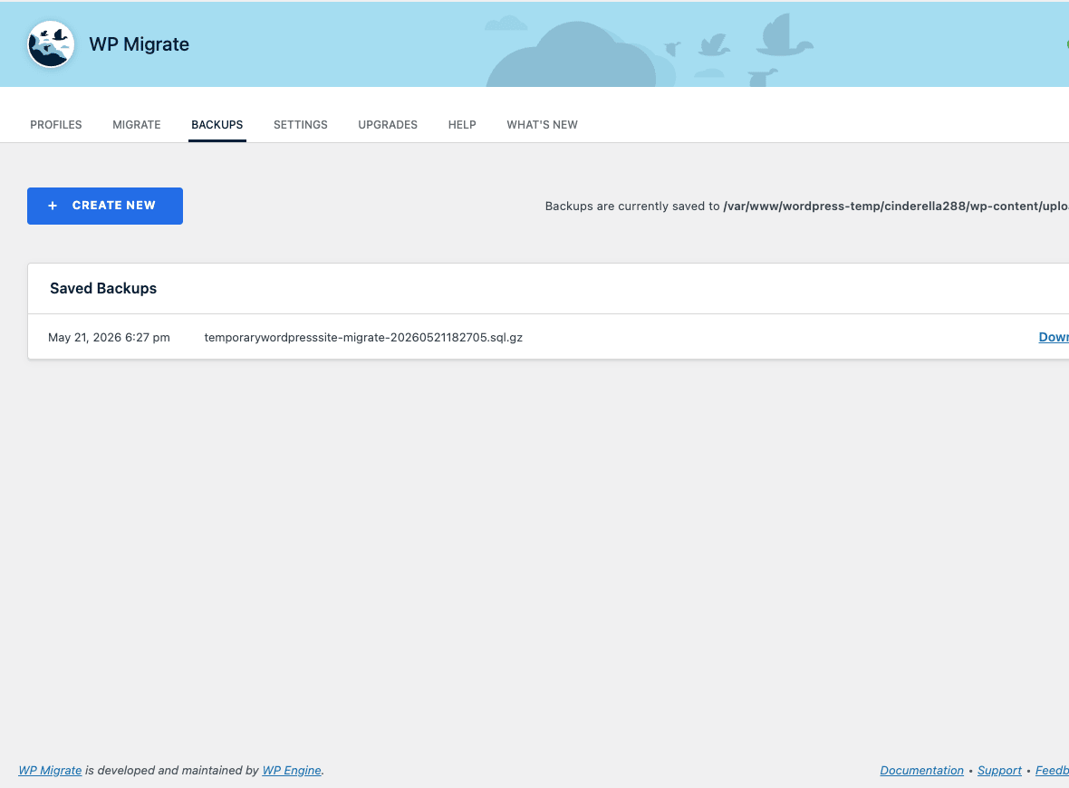 WP Migrate Pro Backups tab WP Migrate Pro Backups tab showing a saved backup with a download button
