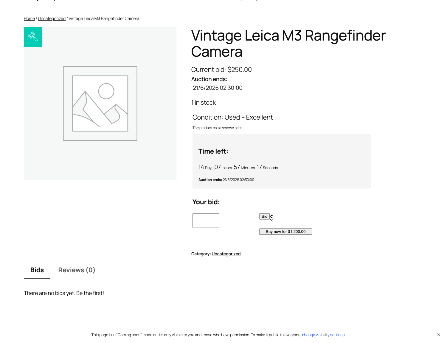 Live auction page with bid form