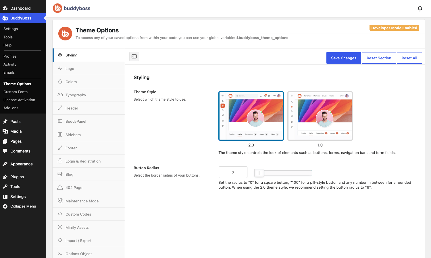 BuddyBoss Theme Options The BuddyBoss Theme Options panel, showing the app-like 2.0 theme style with styling, colors, and BuddyPanel options