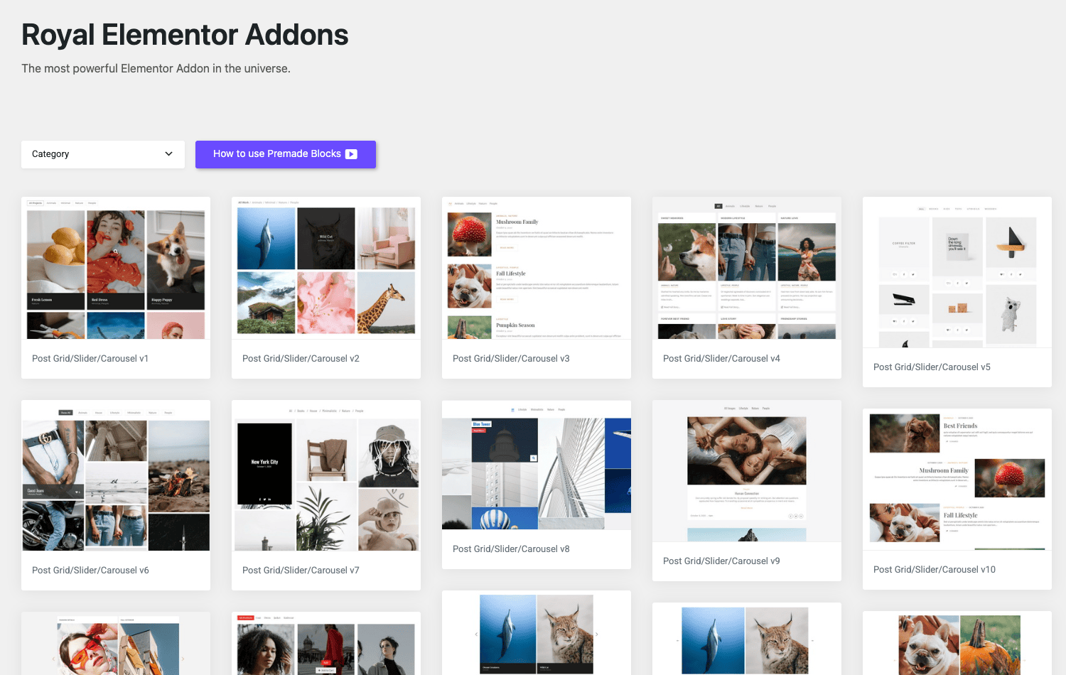 Royal Elementor Addons Pro Premade Blocks section library