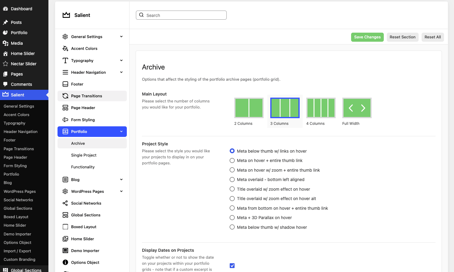 Salient Portfolio layout options The Salient theme Portfolio Archive options, with a visual column-layout picker and project hover-style choices
