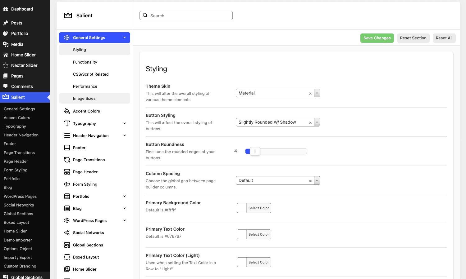 Salient Theme Options - Styling The Salient theme Styling tab in Theme Options, showing Theme Skin, button styling, and primary color controls