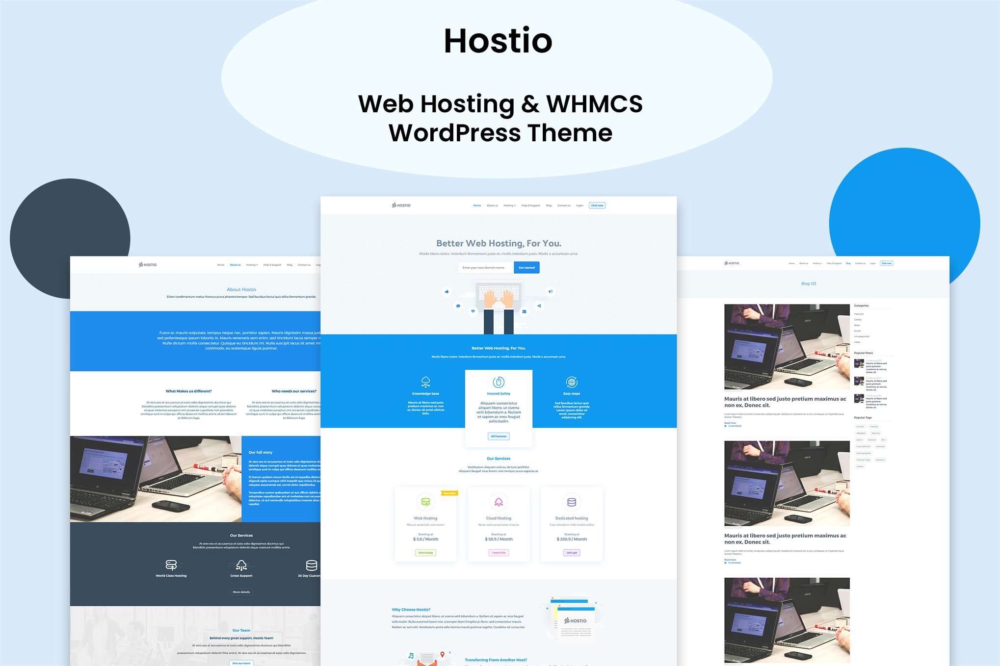 Hostio Web Hosting & WHMCS WordPress Theme 1.0