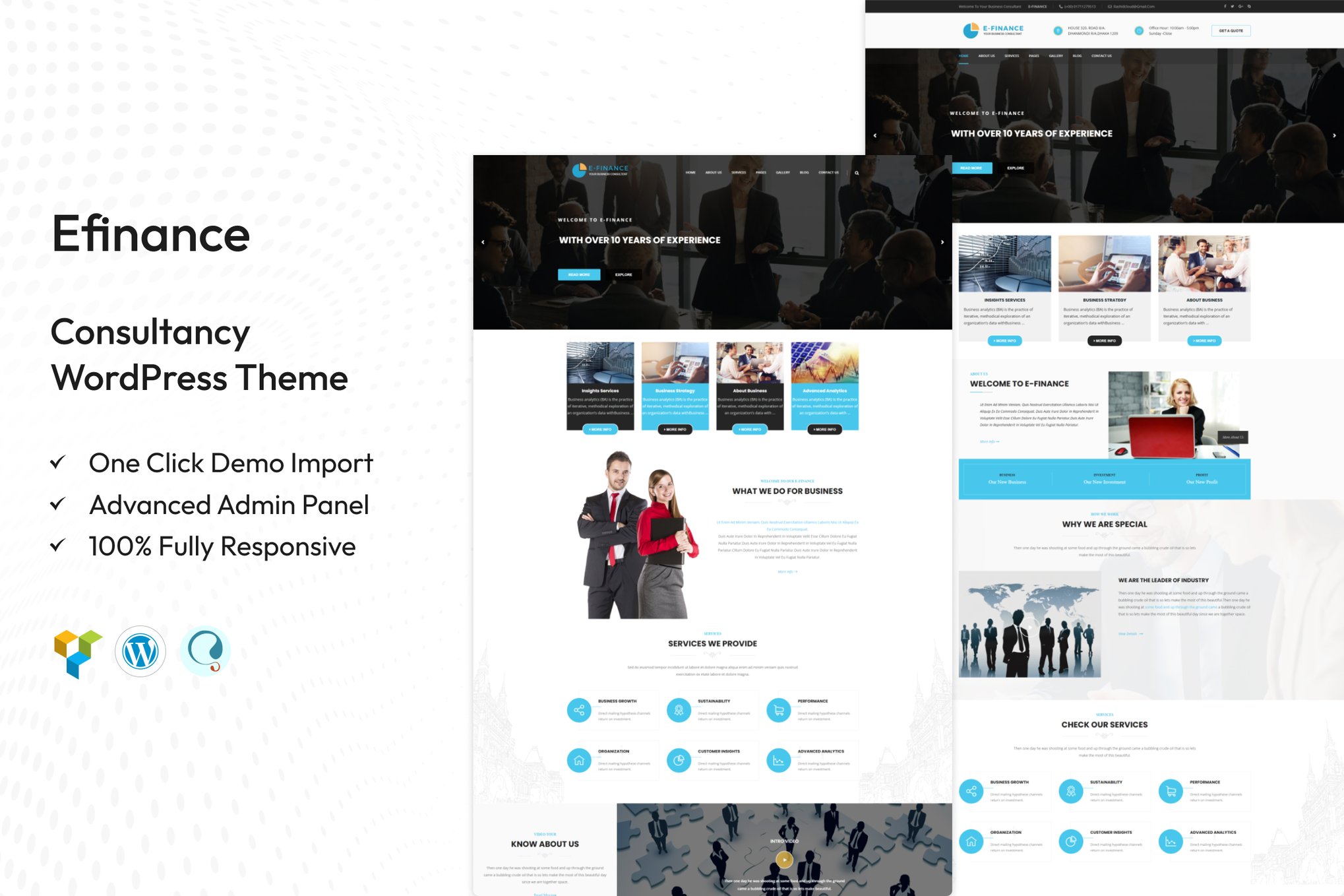 Efinance: Consultancy WordPress Theme 2.0