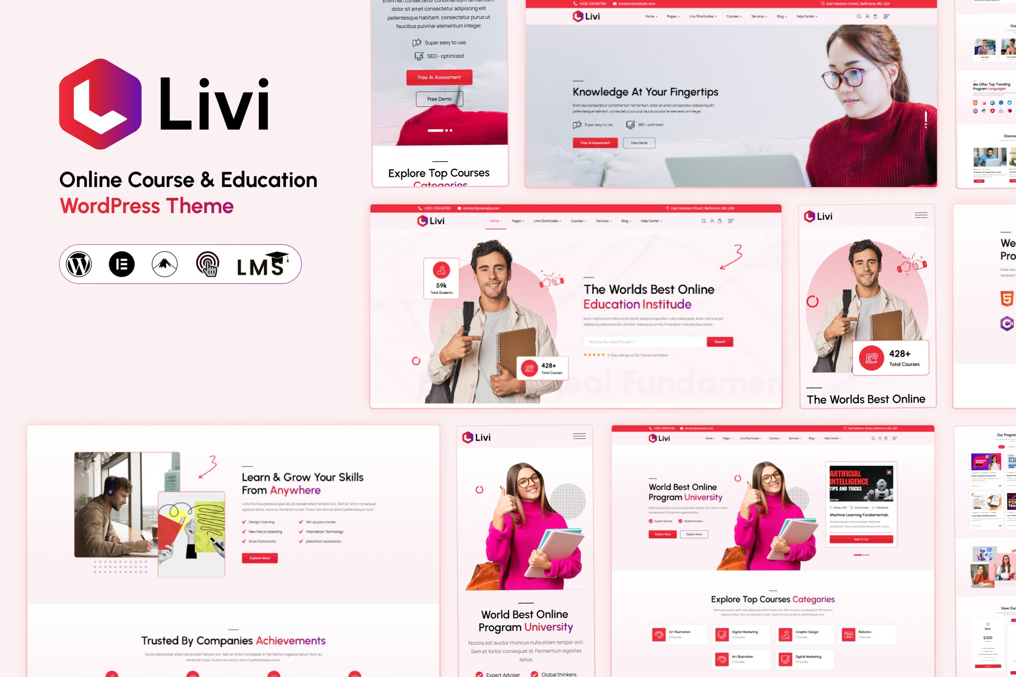 Livi - Education WordPress Theme 1.0.5